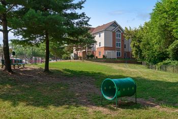 Bark park